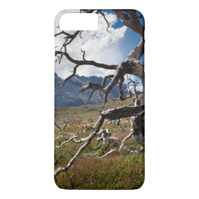 Capa Para iPhone, Case-Mate Parque Nacional Torres del Paine, árvores danifica (Verso)