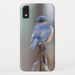 Capa Para iPhone Da Case-Mate Pássaro azul doce
