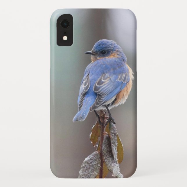 Capa Para iPhone, Case-Mate Pássaro azul doce (Verso)