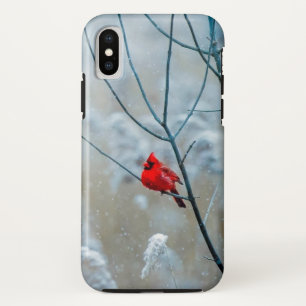 Capa Para iPhone Da Case-Mate Pássaro Cardeal Vermelho em belas nevas Frosty Win