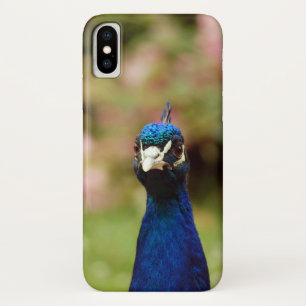 Capa Para iPhone Da Case-Mate Pavão