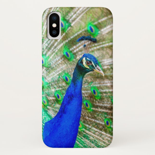 Capa Para iPhone, Case-Mate Peacock Plumage (Verso)