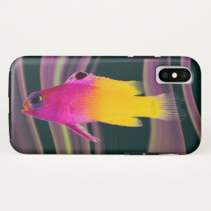 Capa Para iPhone X Peixe