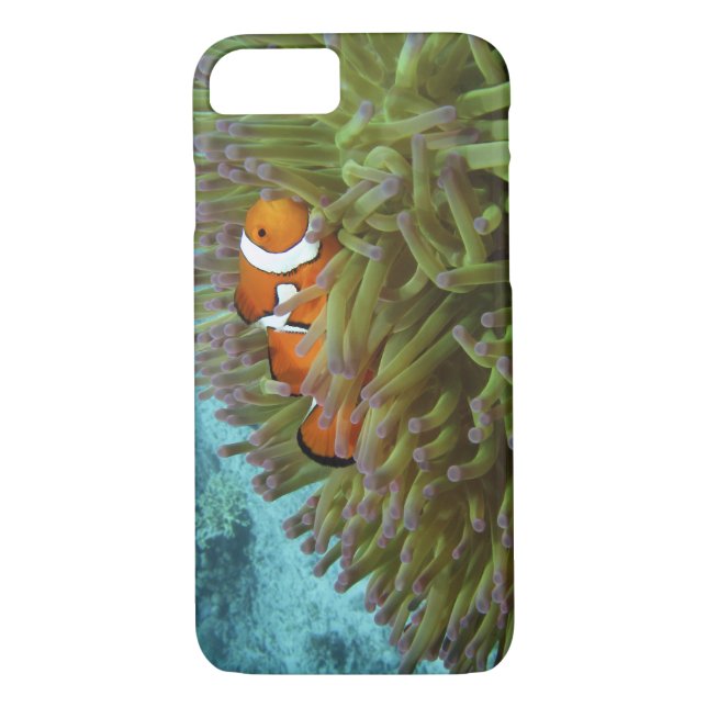 Capa Para iPhone, Case-Mate Peixe-palheiro ocidental ( Amphiprion ocellaris ) (Verso)
