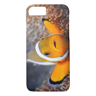 Capa Para iPhone Da Case-Mate Peixes tropicais do recife - Clownfish