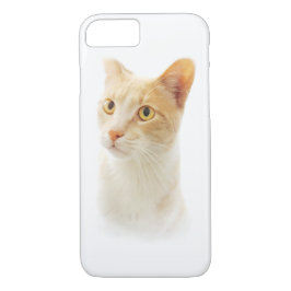 Capa iPhone 8/ 7 Pequeno Gato Loiro Maravilhoso