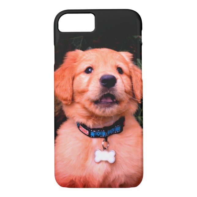 Capa Para iPhone, Case-Mate Personalize o Ouro Retriever Puppy (Verso)