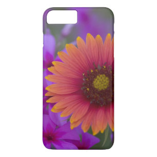 Capa iPhone 8 Plus/7 Plus Phlox e Indian Blanket perto de Devine Texas