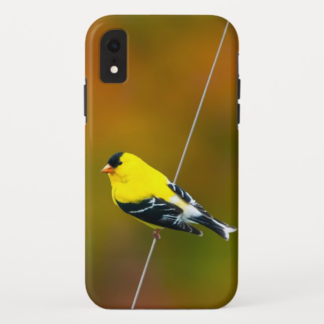 Capa Para iPhone, Case-Mate Pintassilgo Americano - Fotografia Original (Verso)