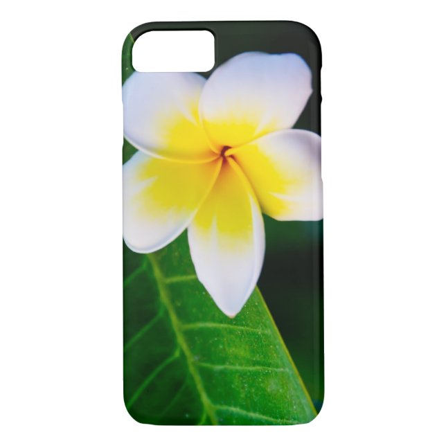 Capa Para iPhone, Case-Mate plumeria (Verso)