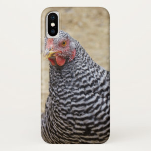 Capa Para iPhone Da Case-Mate Plymouth Barred Rock Hen Fotografia