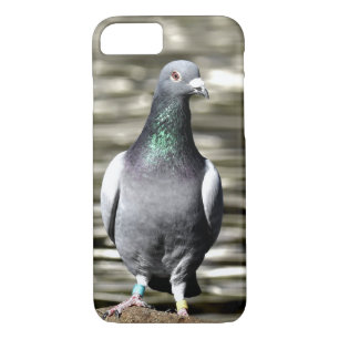 Capa Para iPhone Da Case-Mate Pombo