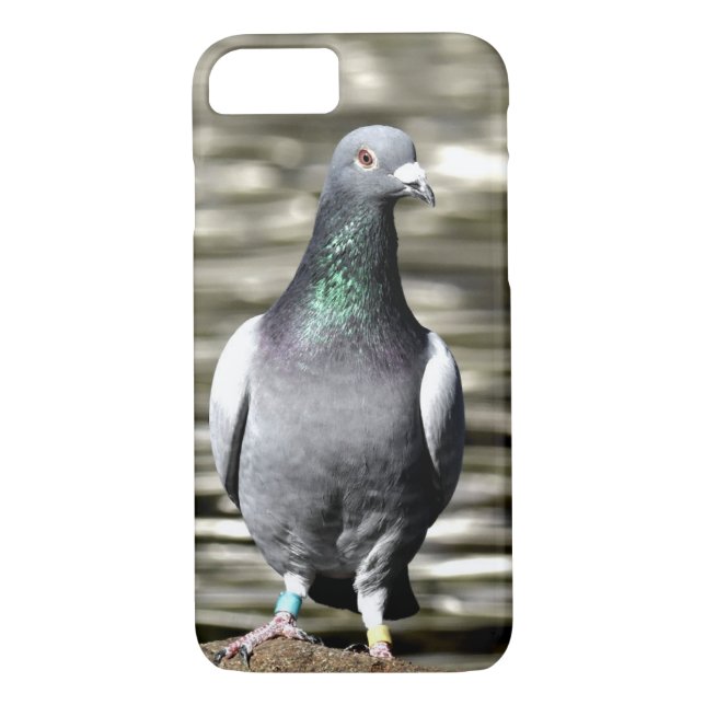 Capa Para iPhone, Case-Mate Pombo (Verso)