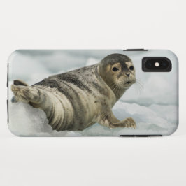 Capa Para iPhone Da Case-Mate Precioso Baby Seal