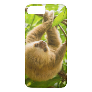 Capa iPhone 8 Plus/7 Plus Preguiça de cabeça para baixo das imagens   de