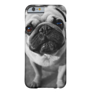Capa Barely There Para iPhone 6 Pug considerável