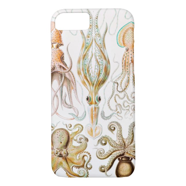 Capa Para iPhone, Case-Mate Pula de Octopus, Gamochonia por Ernst Haeckel (Verso)
