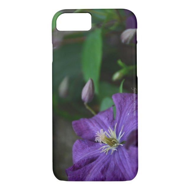 Capa Para iPhone, Case-Mate Purple Clematis (Verso)