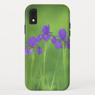 Capa Para iPhone Da Case-Mate Púrpura Iris - Arte Flor Original