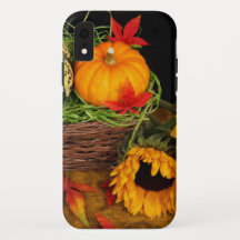 Queda Colheita Girassóis