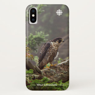 Capa Para iPhone Da Case-Mate Queda - Falcão Peregrino
