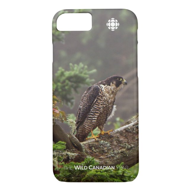 Capa Para iPhone, Case-Mate Queda - Falcão Peregrino (Verso)