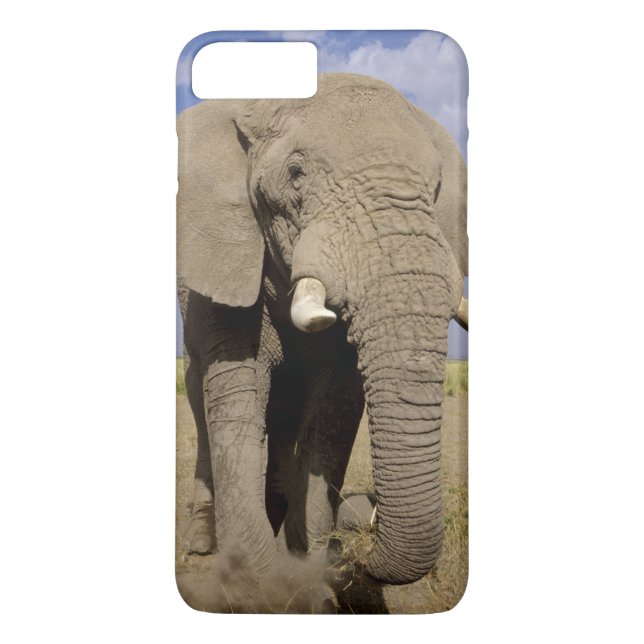 Capa Para iPhone, Case-Mate Quênia: Parque Nacional de Amboseli, elefante mach (Verso)
