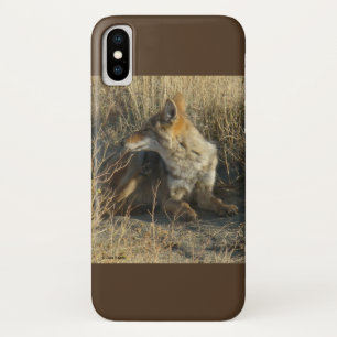 Capa Para iPhone Da Case-Mate R16 Coyote Coçando