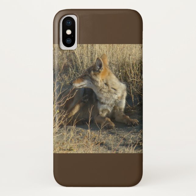 Capa Para iPhone, Case-Mate R16 Coyote Coçando (Verso)