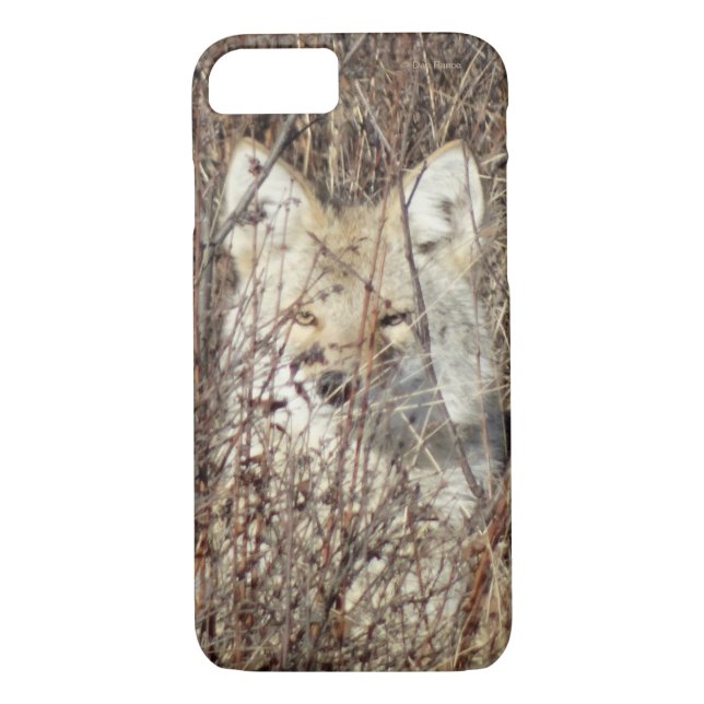 Capa Para iPhone, Case-Mate R21 Coyote "Vigiando você" (Verso)