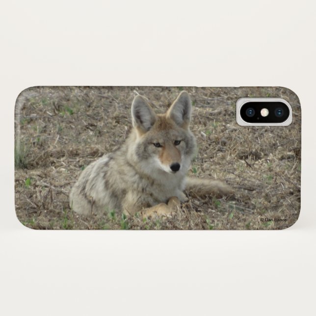 Capa Para iPhone, Case-Mate R22 Coyote Deitado (Verso (Horizontal))