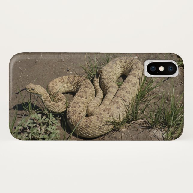 Capa Para iPhone, Case-Mate R6 Prairie Rattlesnake (Verso (Horizontal))