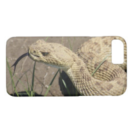 Capa iPhone 8/ 7 R8 Prairie Rattlesnake Head Shot