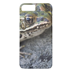 Capa Para iPhone Da Case-Mate Rã-leopardo-do-norte, Ilha Transparente,