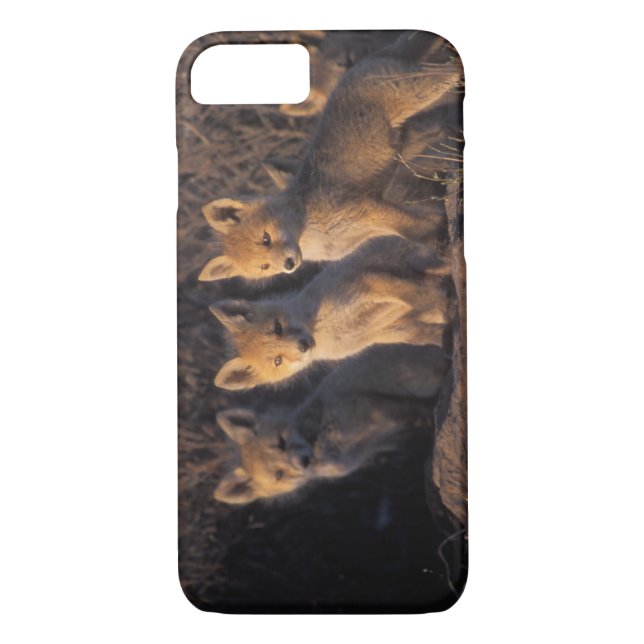 Capa Para iPhone, Case-Mate raposa vermelha, vulpes, kits (Verso)