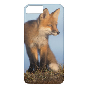 Capa Para iPhone Da Case-Mate raposa-vermelha, Vulpes vulpes