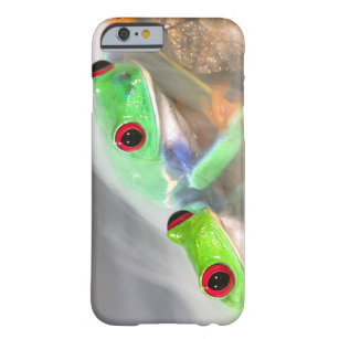 Capa Barely There Para iPhone 6 Red Eye Treefrog na névoa, Agalychinis 2