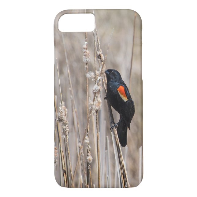 Capa Para iPhone, Case-Mate Red Winged Blackbird (Verso)