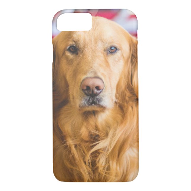 Capa Para iPhone, Case-Mate Retrato para cães Ouros (Verso)