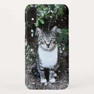 CAPA PARA iPhone XR RONINA DE GATO NEGRO E BRANCO TURCO