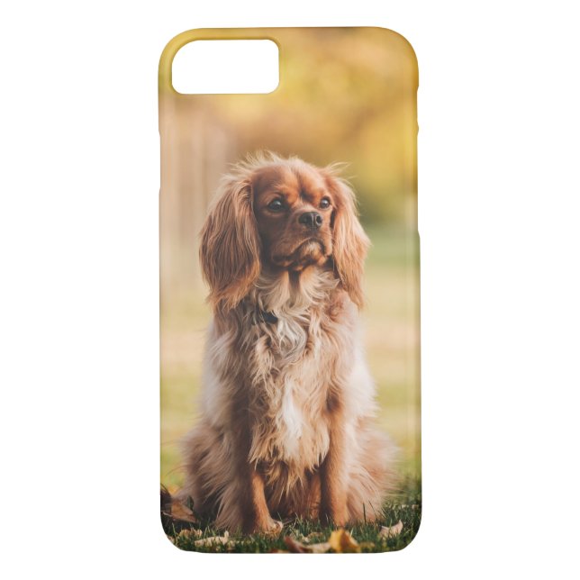 Capa Para iPhone, Case-Mate Ruby Cavalier Rei Charles Spaniel (Verso)