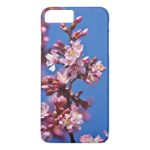 Capa iPhone 8 Plus/7 Plus Sakura Cherry Blossoms tocando azul