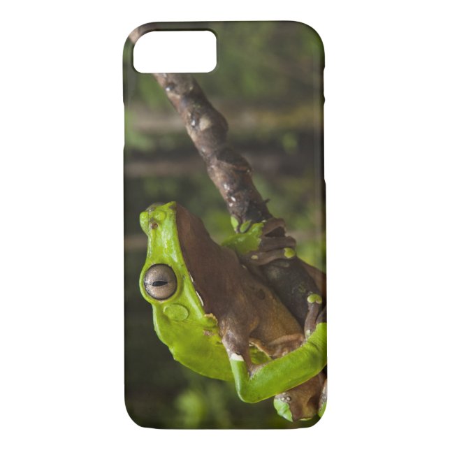 Capa Para iPhone, Case-Mate Sapo gigante Phyllomedusa bicolor) (Verso)