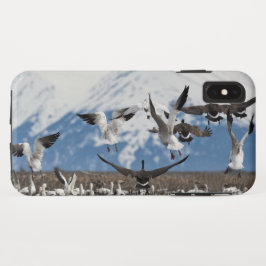 Capa Para iPhone Da Case-Mate Scattering Geese