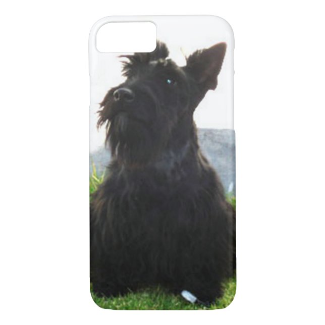 Capa Para iPhone, Case-Mate Scottish_Terrier sitting.png (Verso)