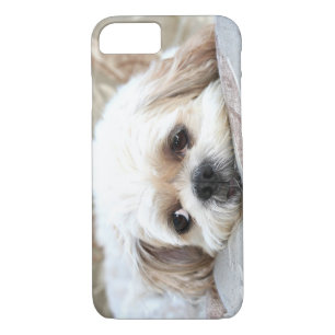 Capa iPhone 8/ 7 Shih triste Tzu enfrenta