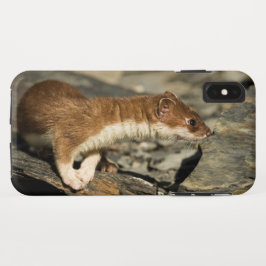 Capa Para iPhone Da Case-Mate Sniffing Weasel