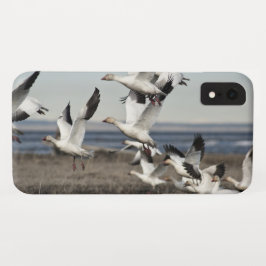 Capa Para iPhone Da Case-Mate Snow Geese Voadora