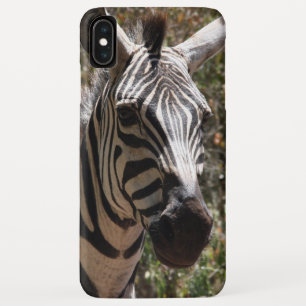 Capa Para iPhone XS Max sorrisos de zebra