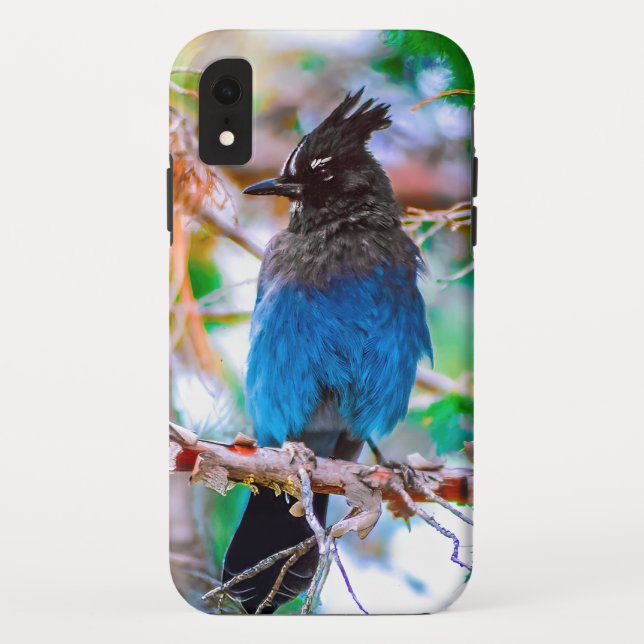 Capa Para iPhone, Case-Mate Steller's Jay - Fotografia original (Verso)
